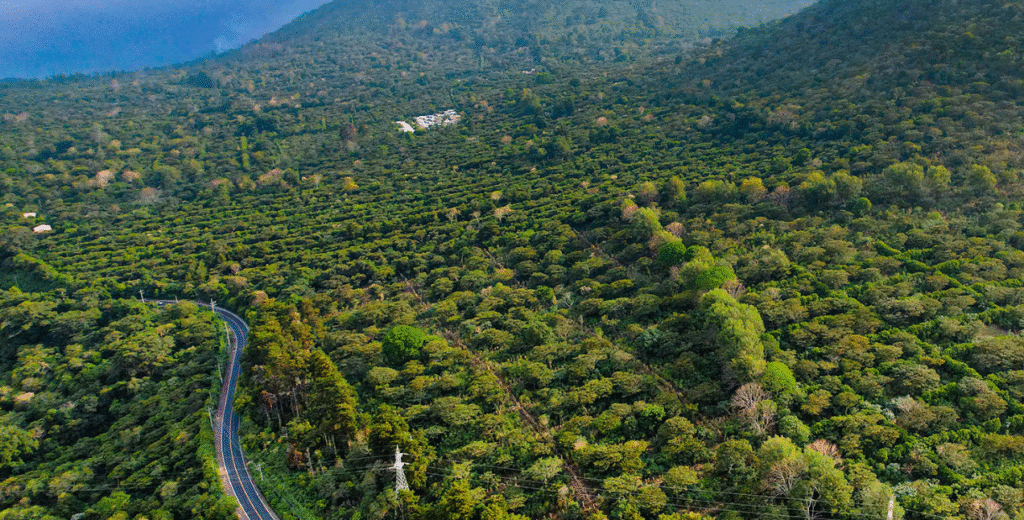 Aerial view of towns on the Flower Route