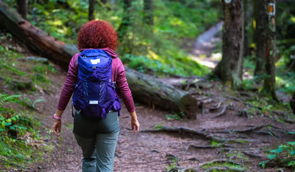 Parque Nacional Cerro Verde 3